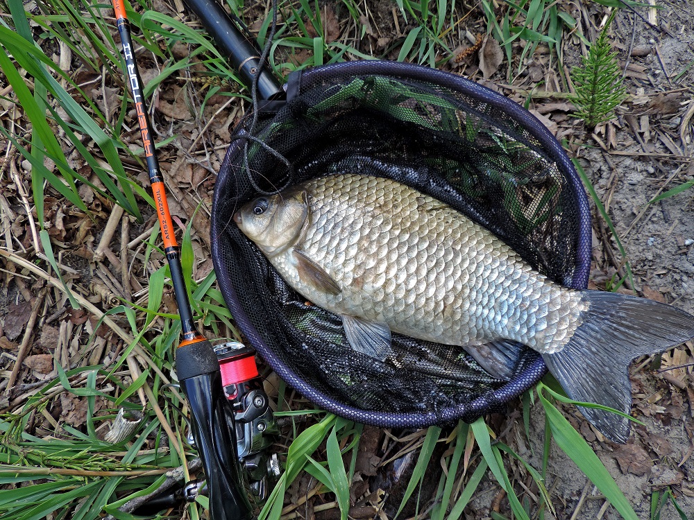 DSCN1053