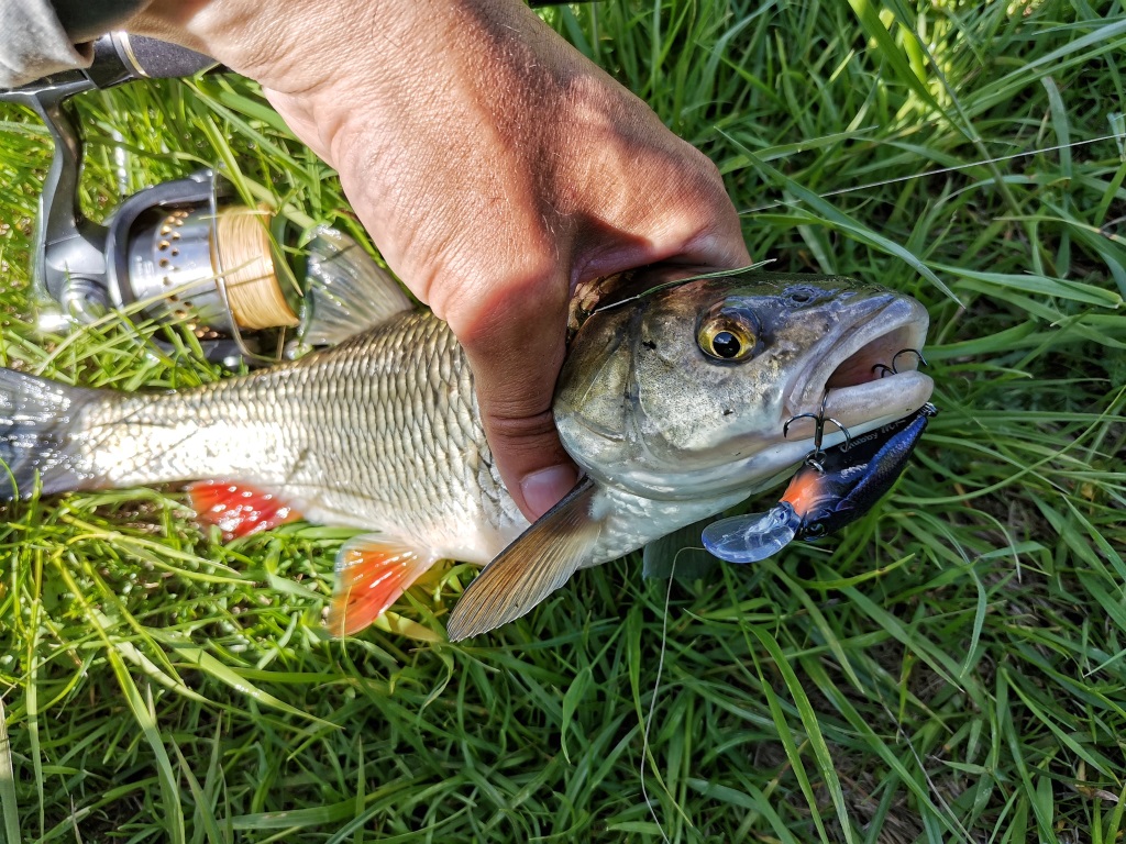 IMG 20210525 151938 01