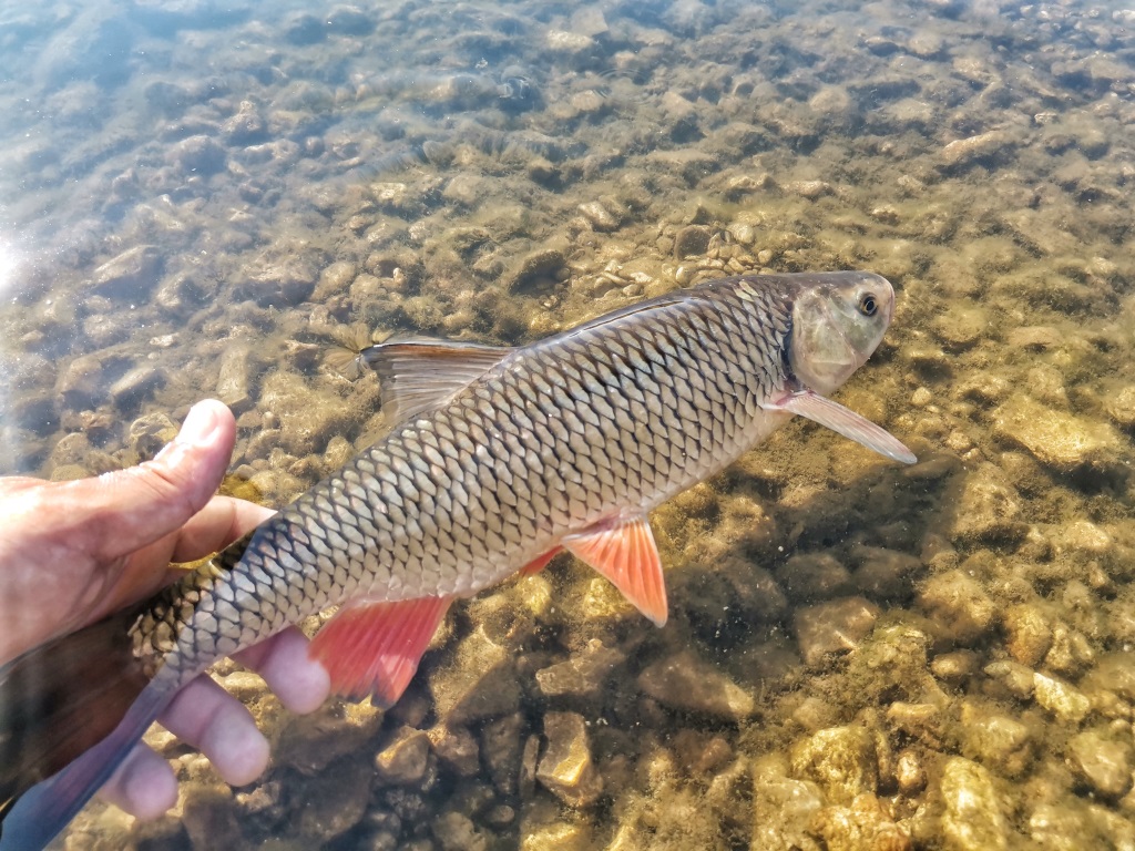 IMG 20210708 165207 02