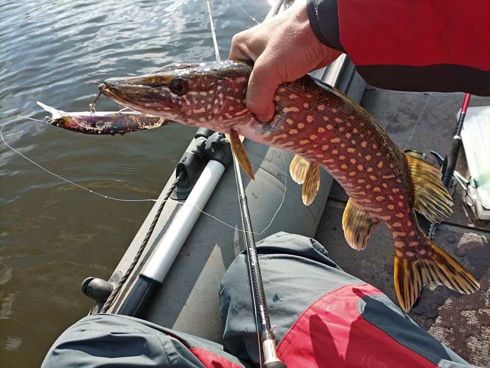 IMG 20210904 090839