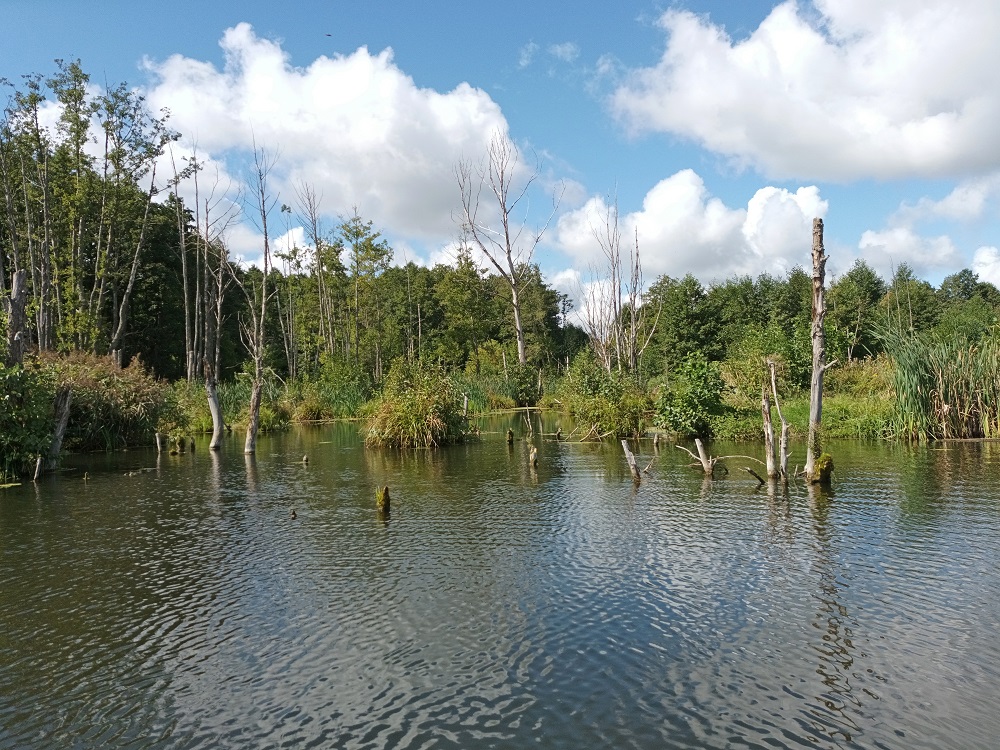 IMG 20210904 112835