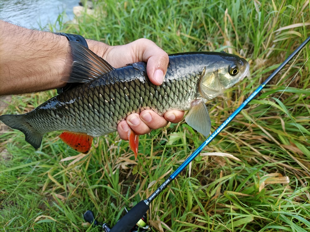 IMG 20210911 101952