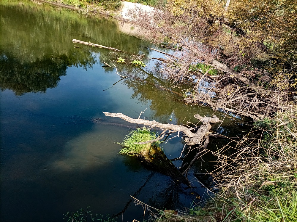 IMG 20210912 143654