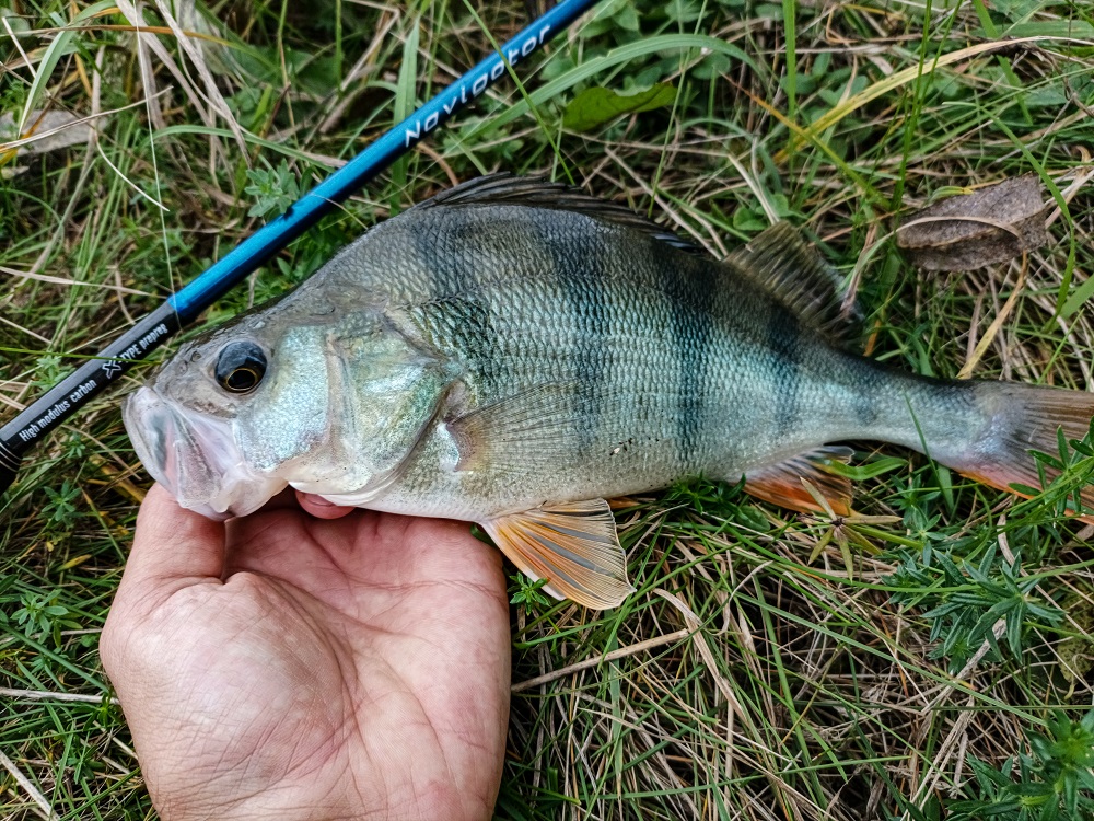 IMG 20210925 152733