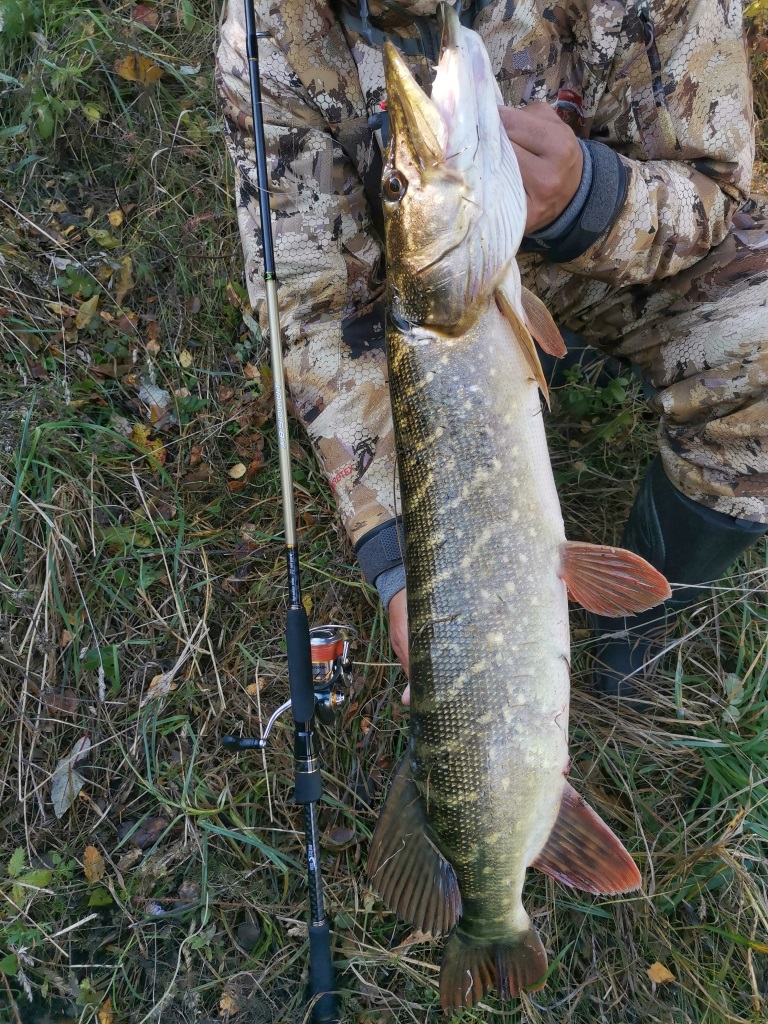 IMG 20211009 124448 01