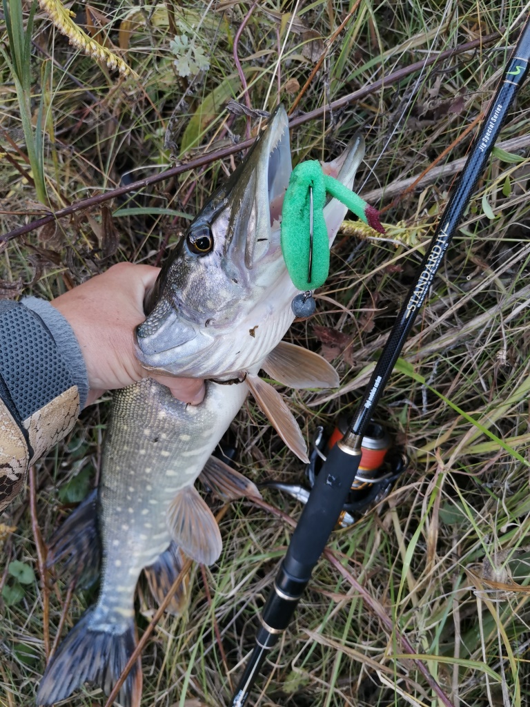 IMG 20211009 140855