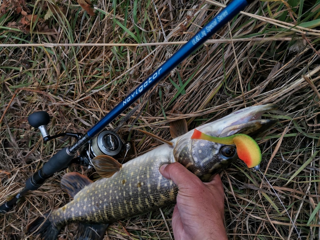 IMG 20211012 133038 01