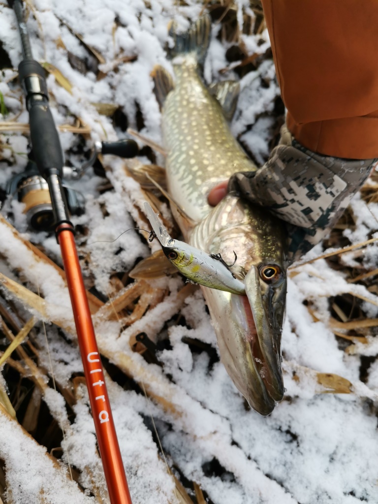 IMG 20211204 150246