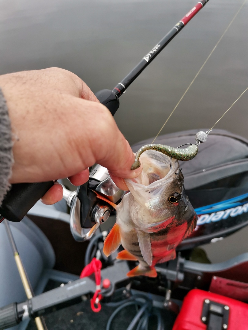 YiGE7y1dB c