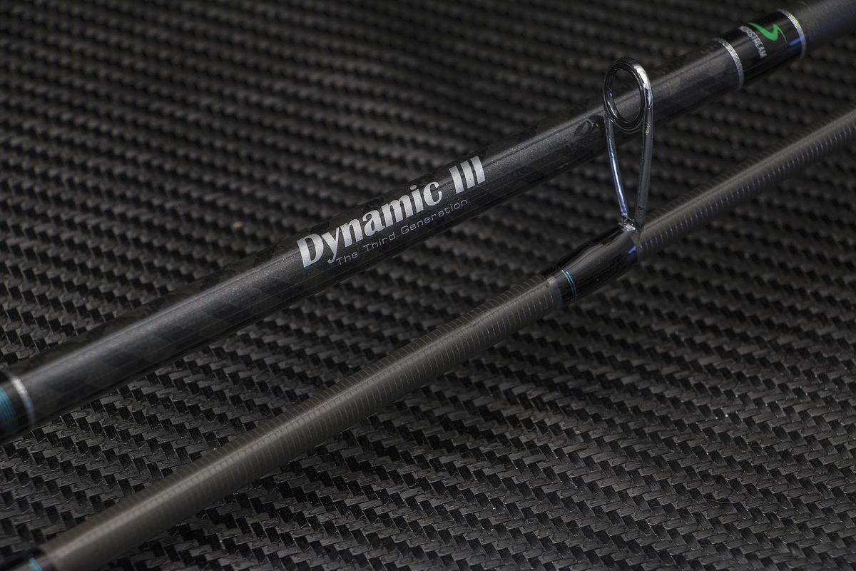 Dynamic III