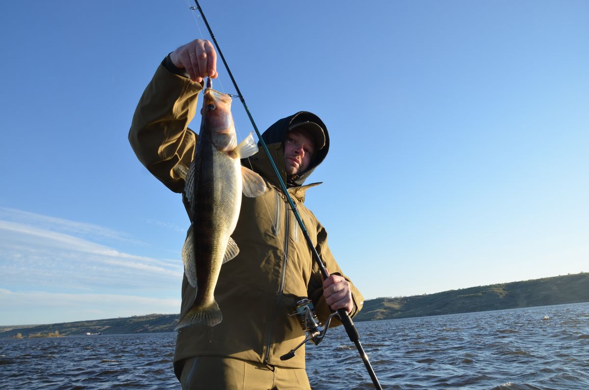 Jackall I Shad Tail