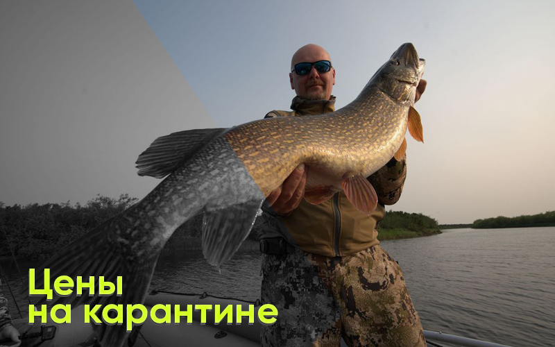 Цены на карантине