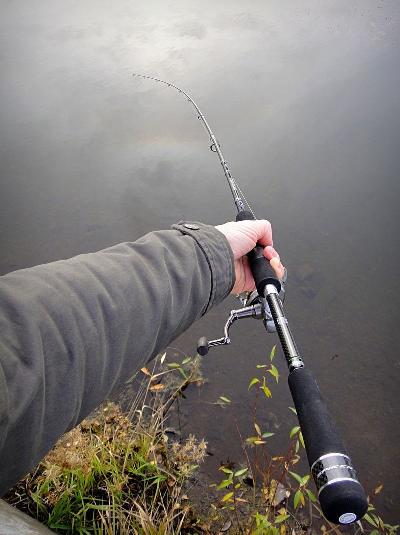 Norstream Spiker II