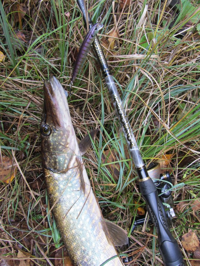 Щука на Flash Minnow