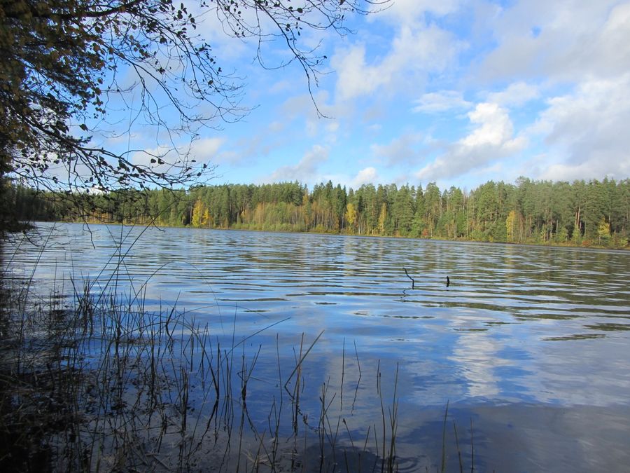 image011