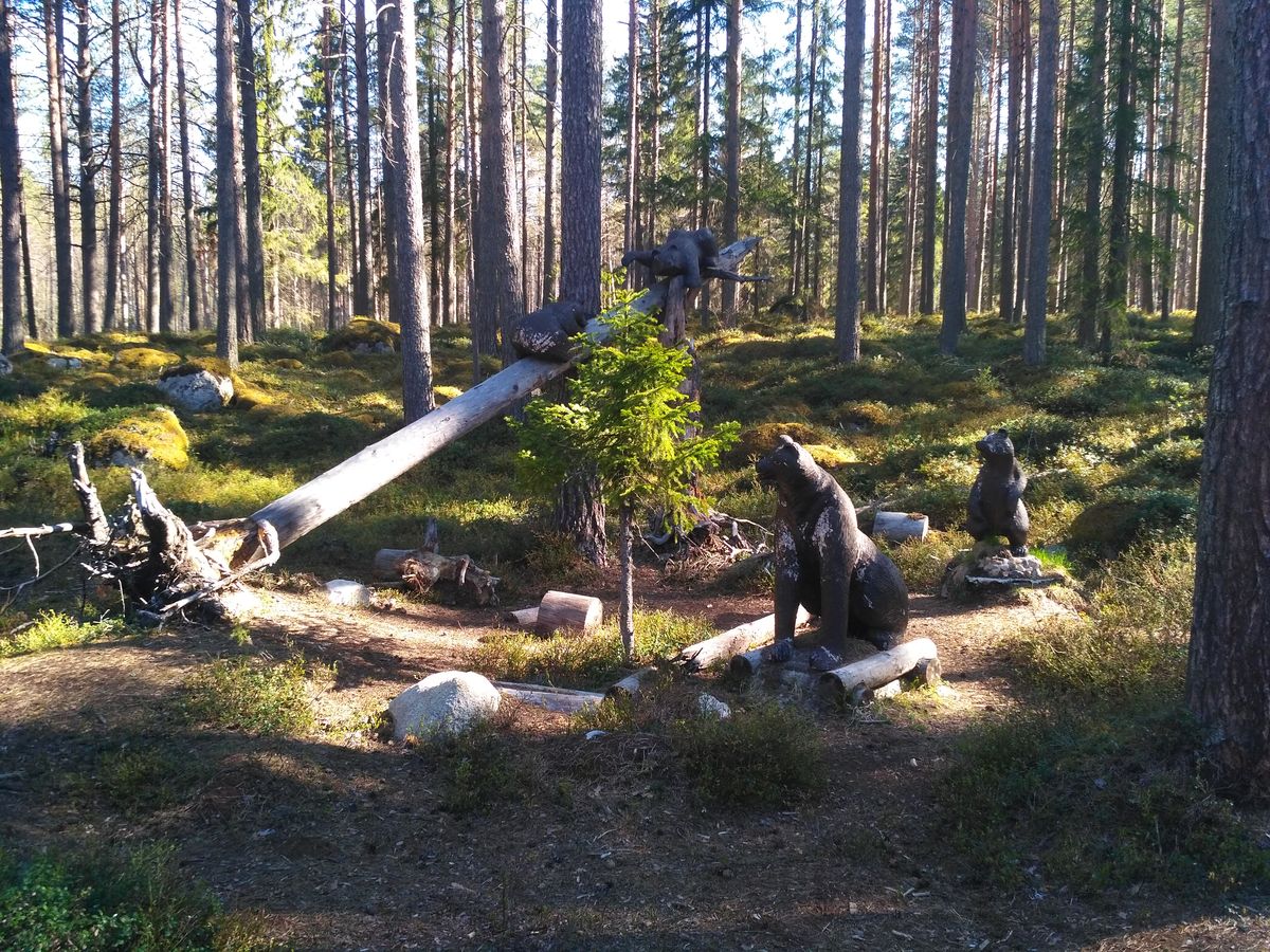 Рыбалка на Кольском