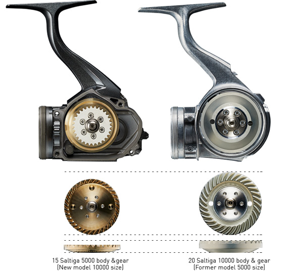 20 saltiga gear
