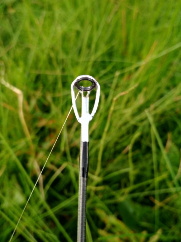 d 07