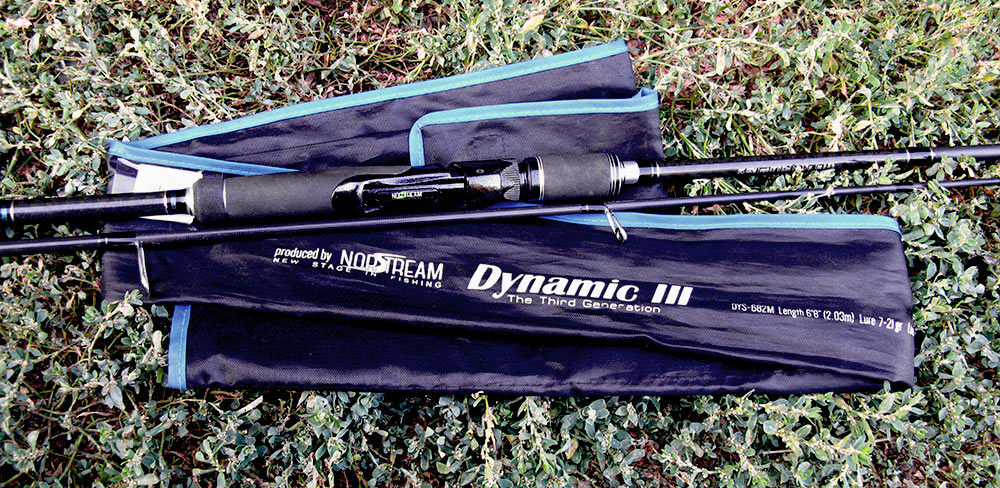 dynamic 01