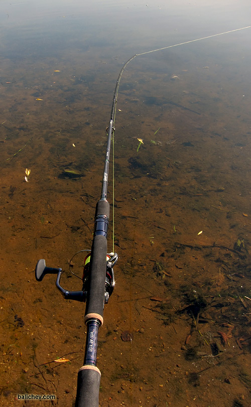 norstream gravity 21