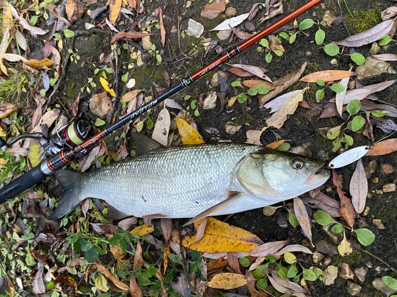 photo 2021 10 04 12 18 562