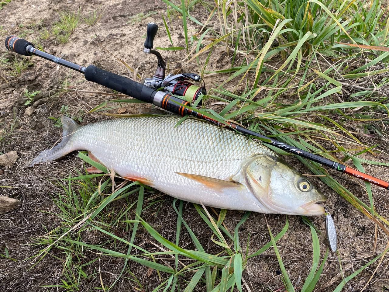 photo 2021 10 04 12 19 00