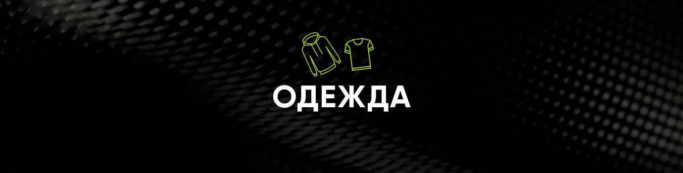 Одежда