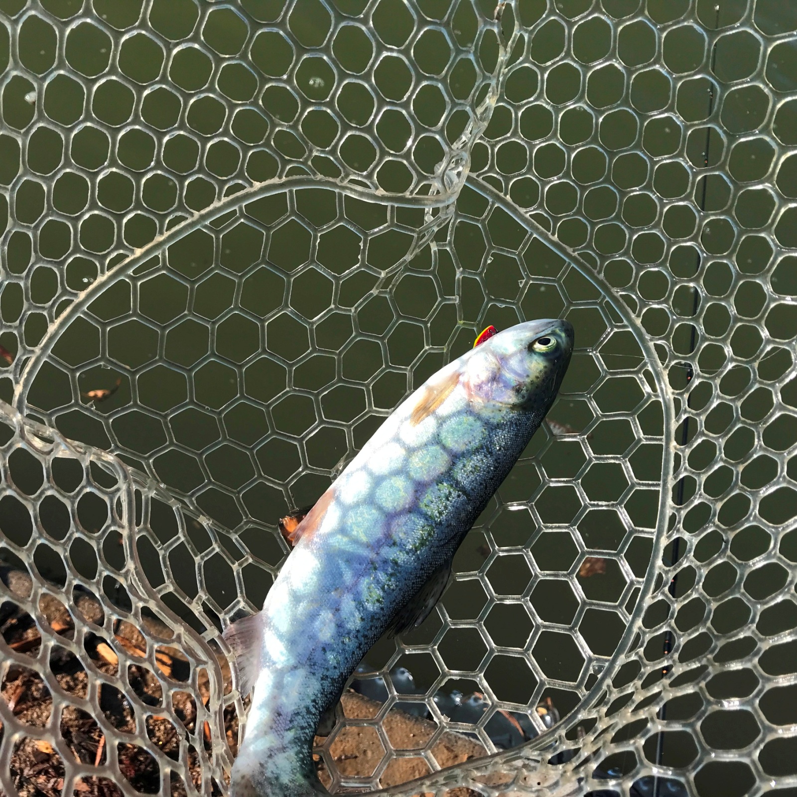 5.1