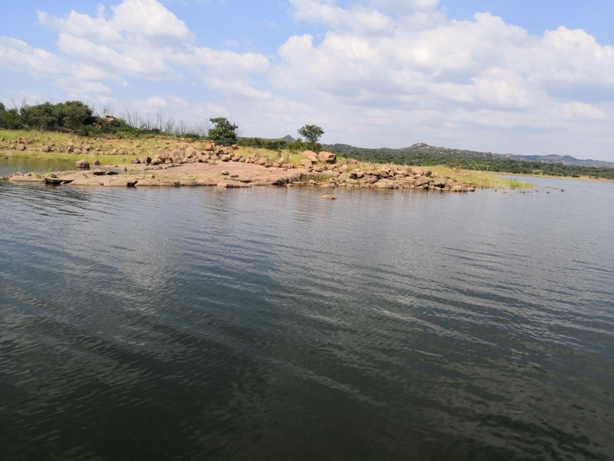 IMG 20190207 145925