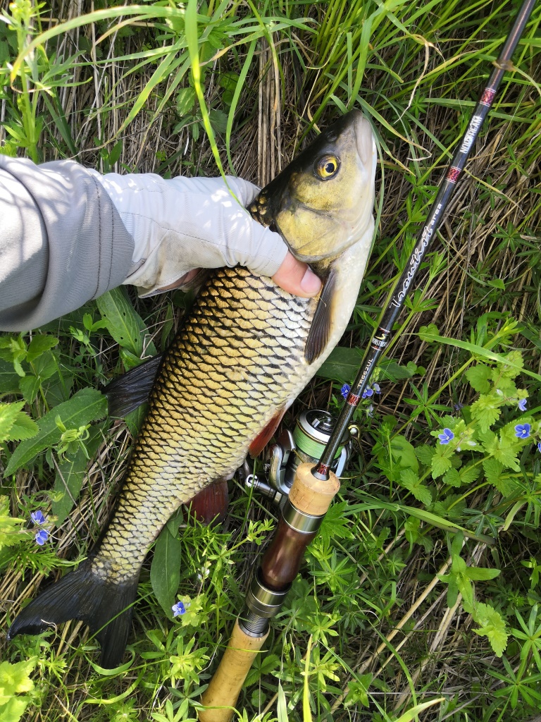 IMG 20190517 143418