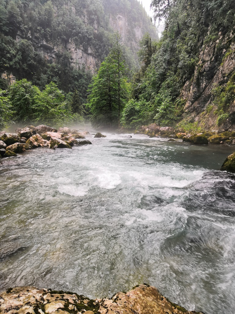 IMG 20190723 153651