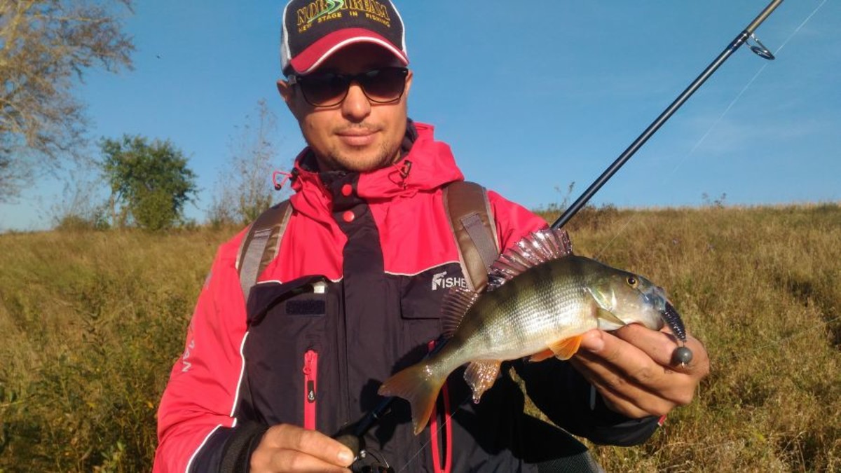 P 20160912 081201