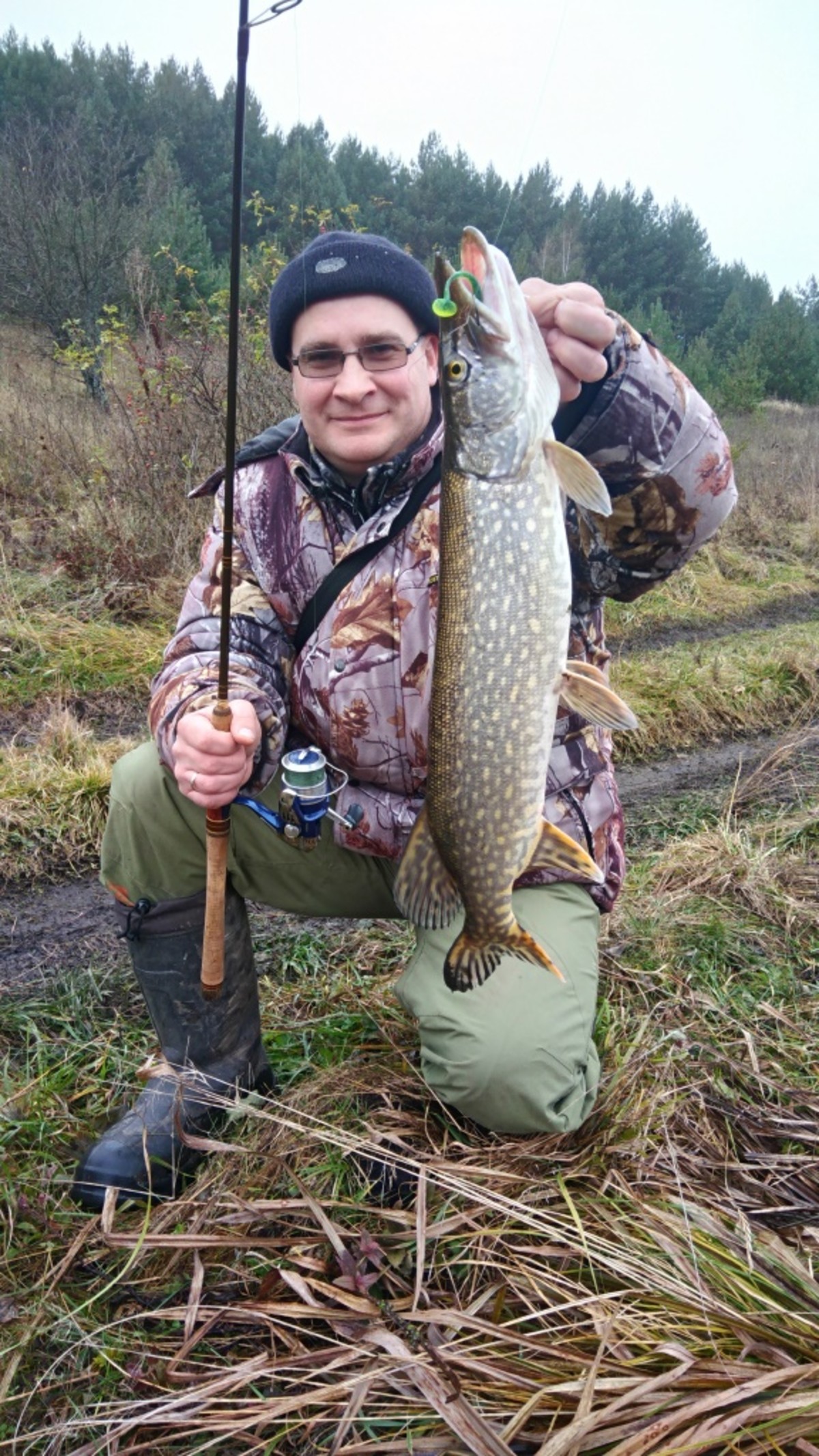 P 20171111 095142 HDR
