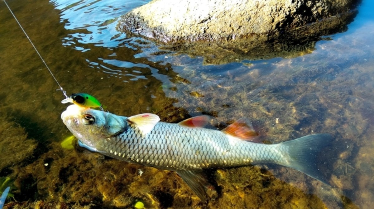 2018 05 14 15 42 34