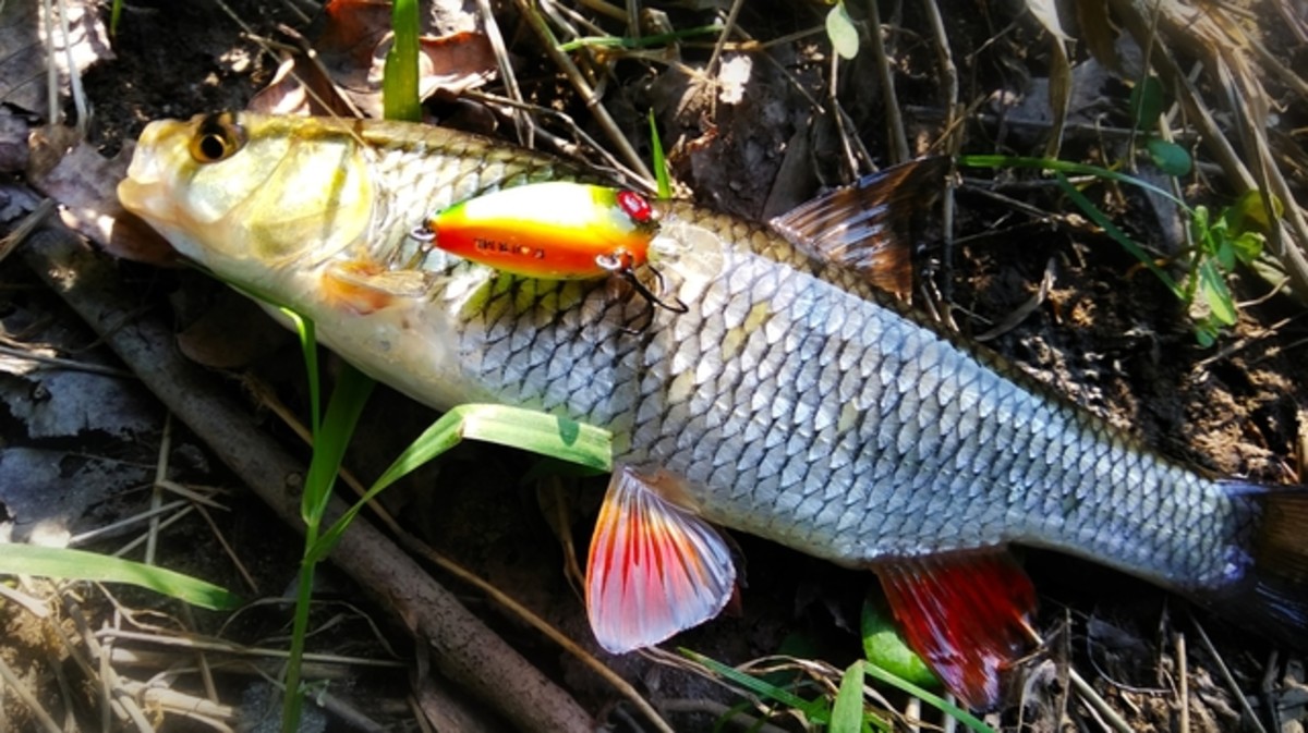 2018 05 14 15 45 44