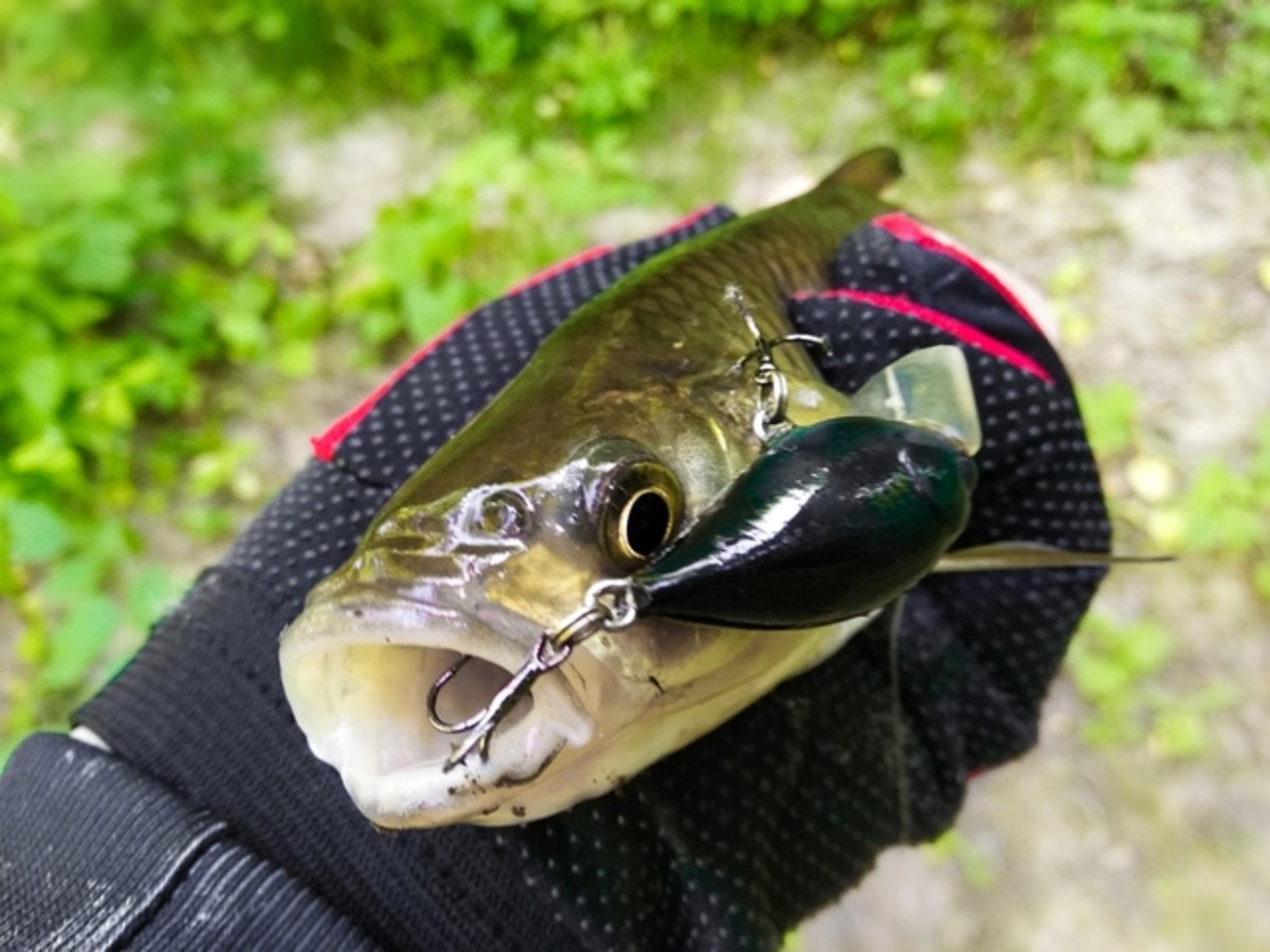 2018 06 22 17 03 03