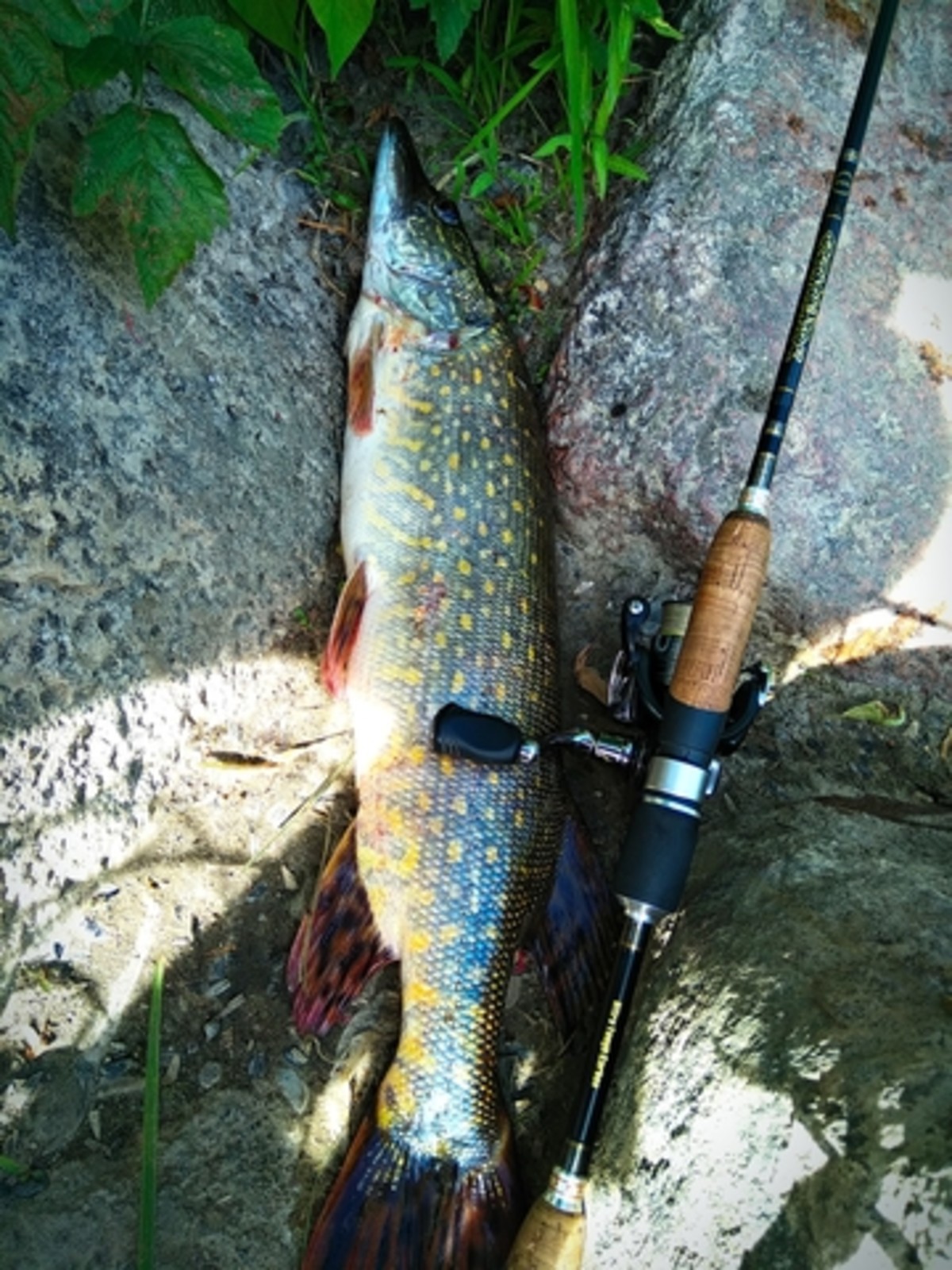 2018 06 22 17 30 41