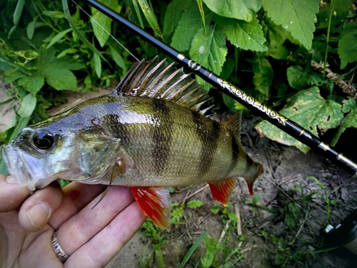 2018 06 22 17 33 12