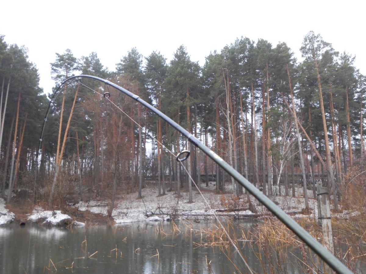 DSCN9012