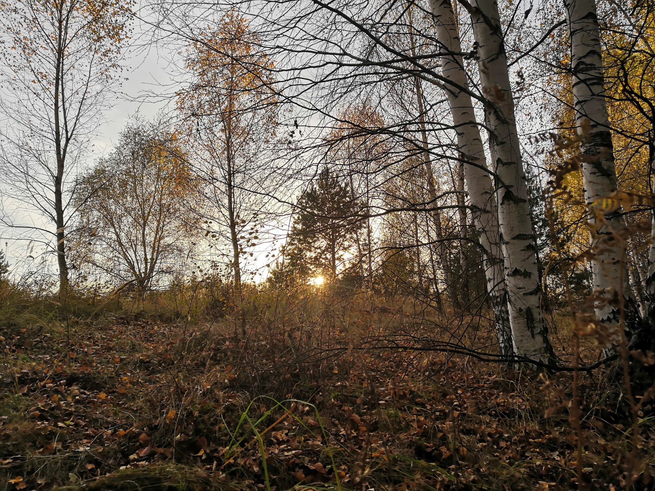 IMG 20201010 163103