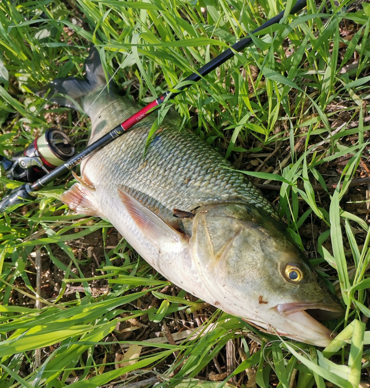 IMG 20210607 150746