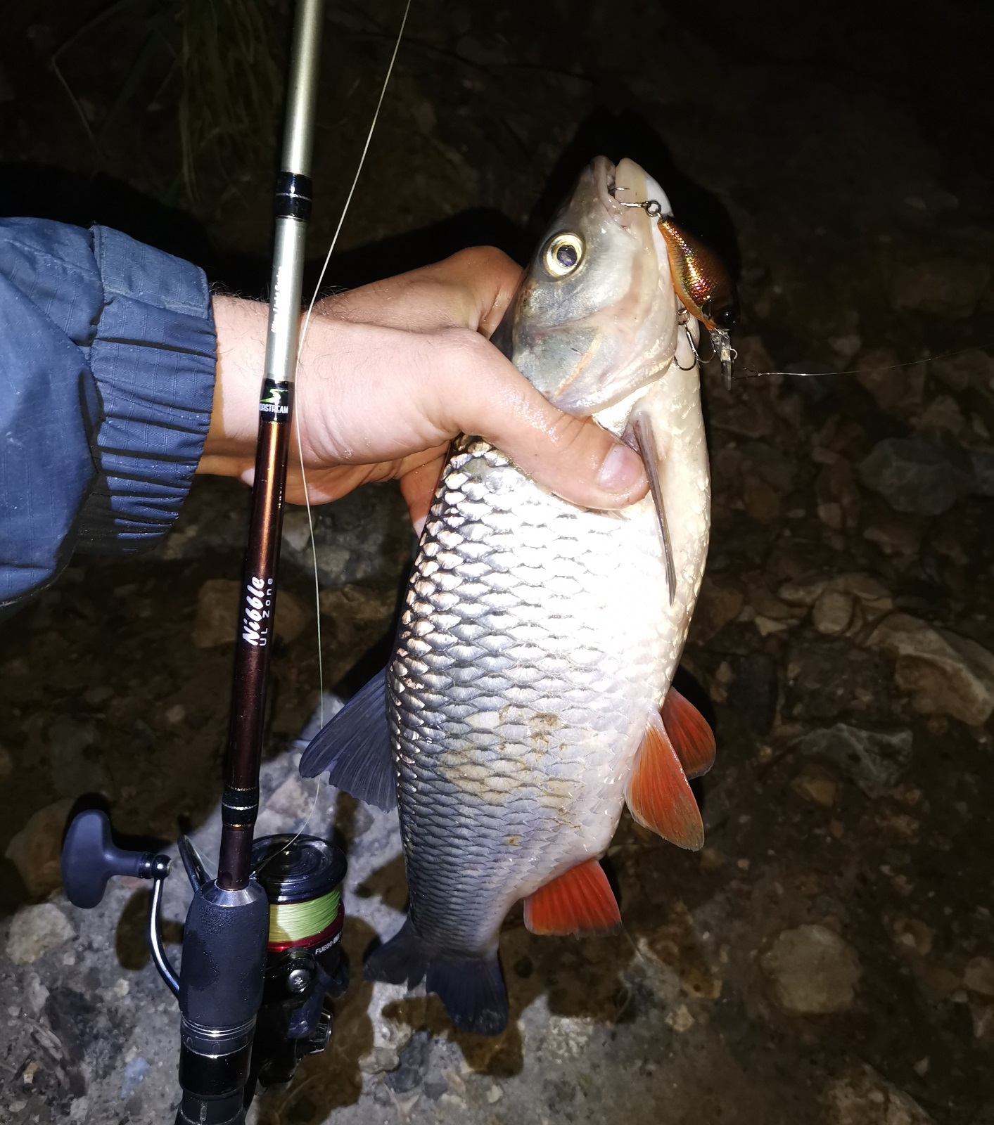 IMG 20210609 153025