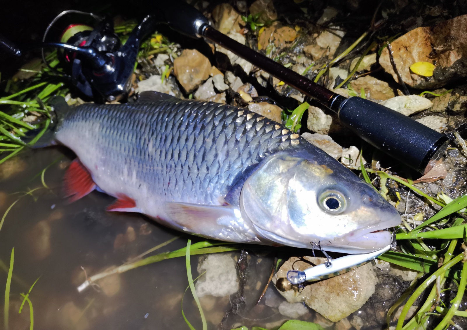 IMG 20210609 155625