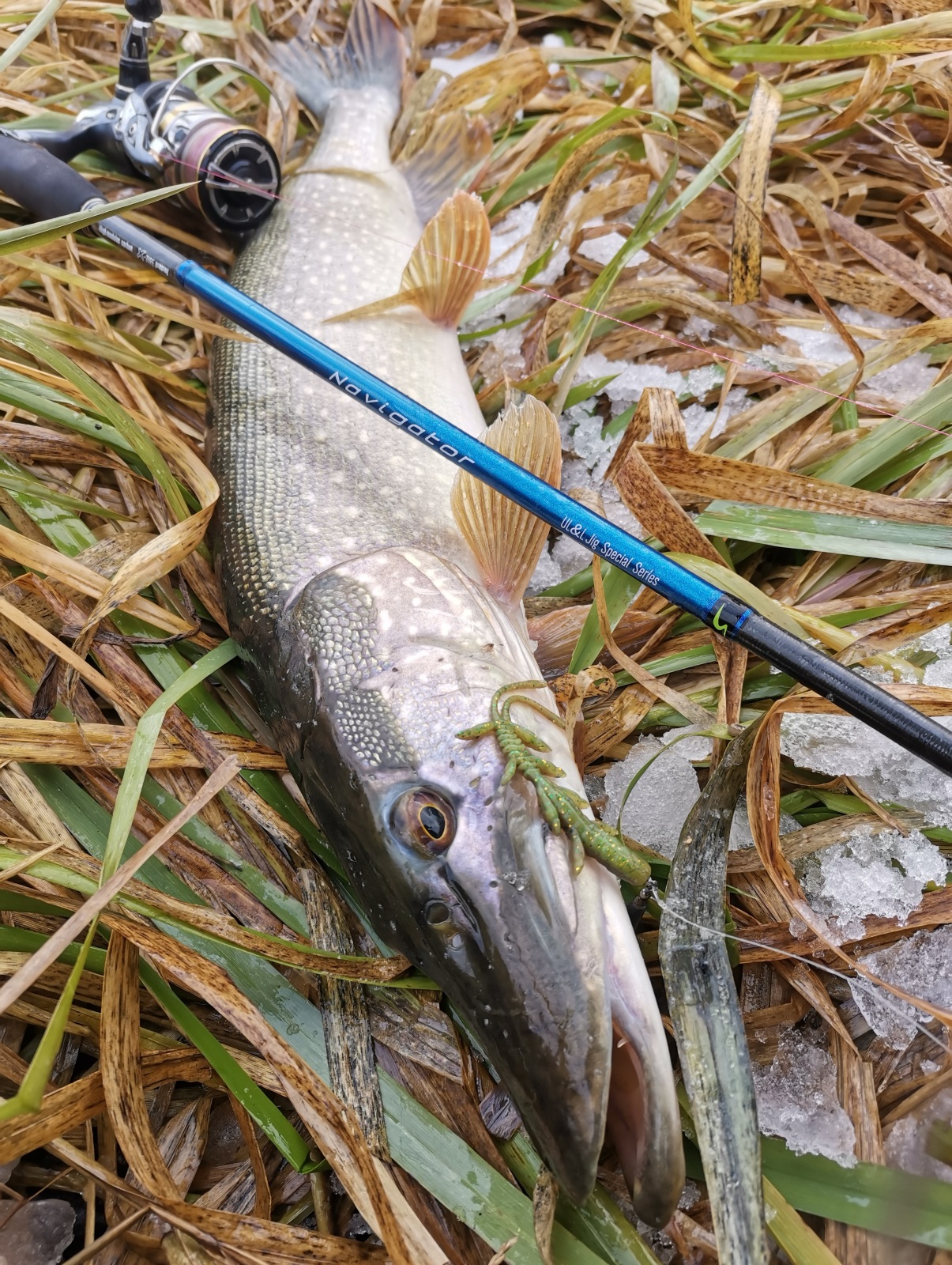 IMG 20211130 211546