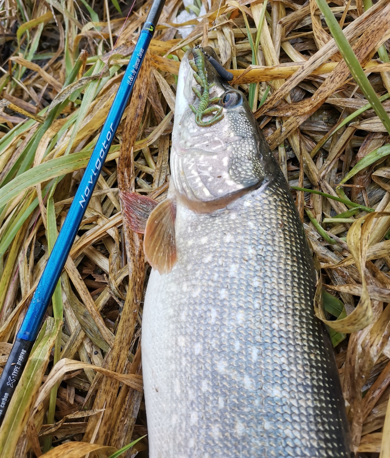 IMG 20211130 211705