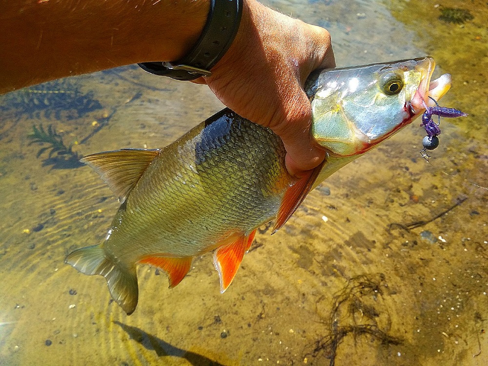 0qe75XjRVI0
