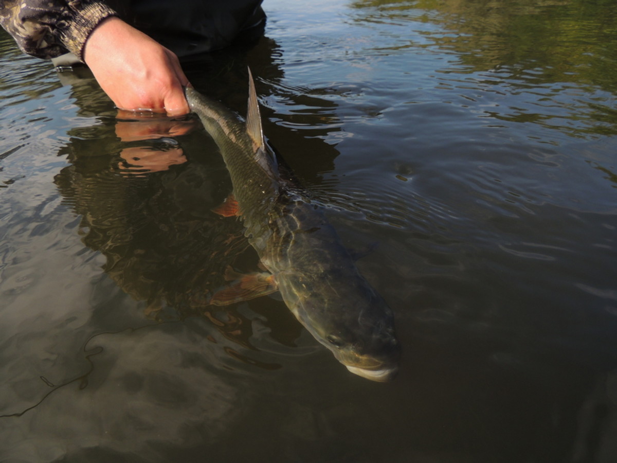 DSCN3406