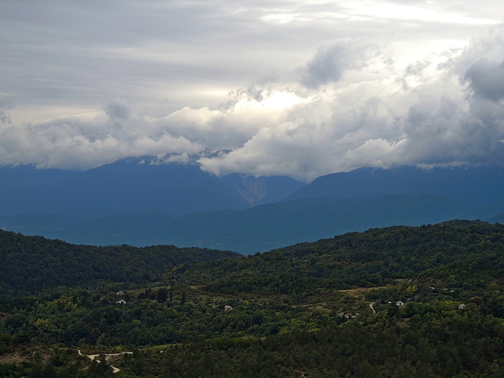 DSCN8293
