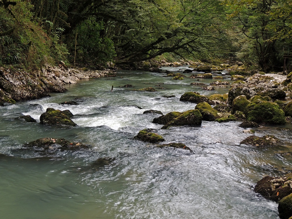 DSCN8448