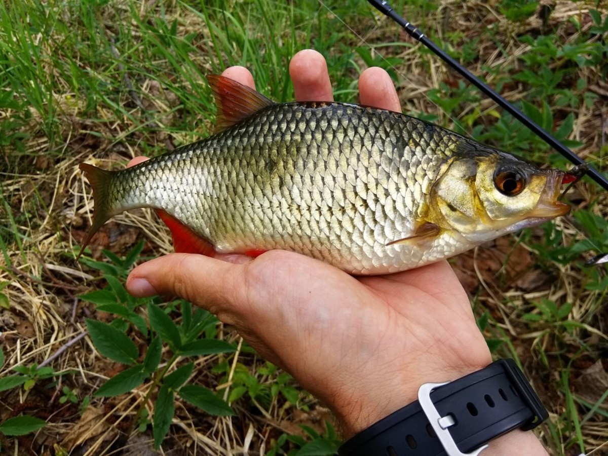 IMG 20190505 125018